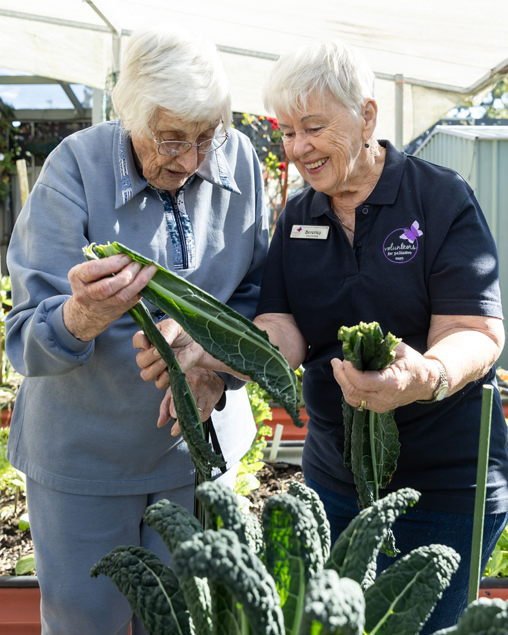 Maitland Palliative Care